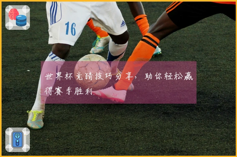世界杯竞猜技巧分享，助你轻松赢得赛季胜利