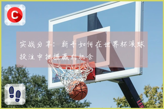 实战分享：新手如何在世界杯滚球投注中把握赢利机会