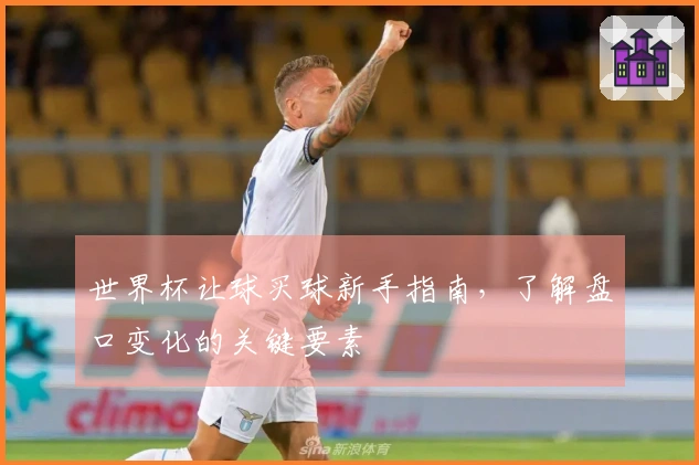 世界杯让球买球新手指南，了解盘口变化的关键要素