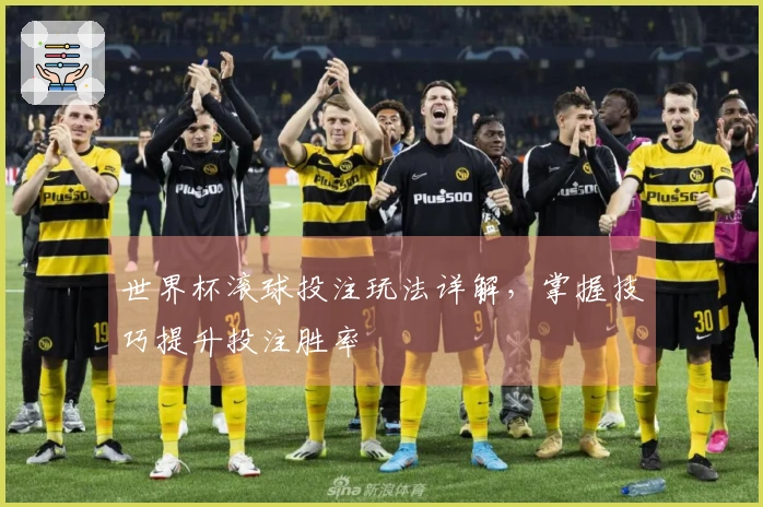 世界杯滚球投注玩法详解，掌握技巧提升投注胜率