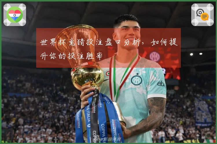 世界杯竞猜投注盘口分析，如何提升你的投注胜率