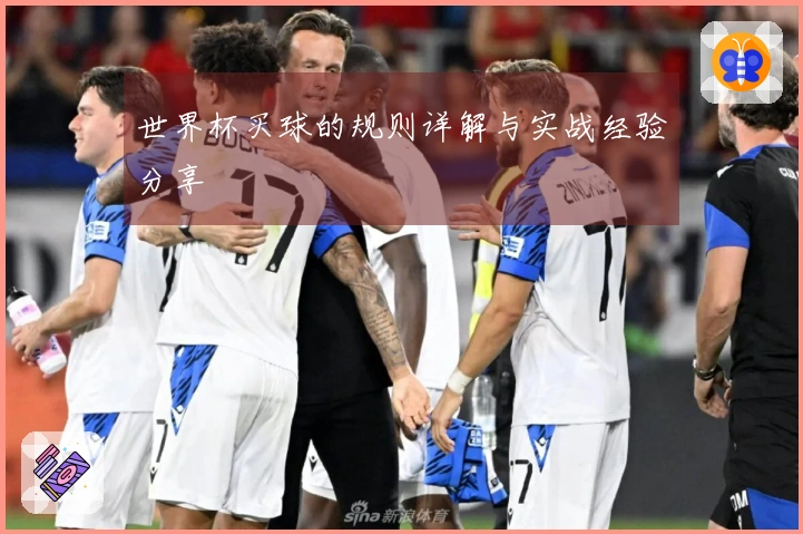 世界杯买球的规则详解与实战经验分享