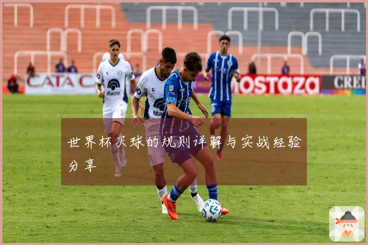 世界杯买球的规则详解与实战经验分享