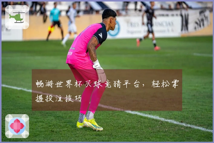 畅游世界杯买球竞猜平台，轻松掌握投注技巧