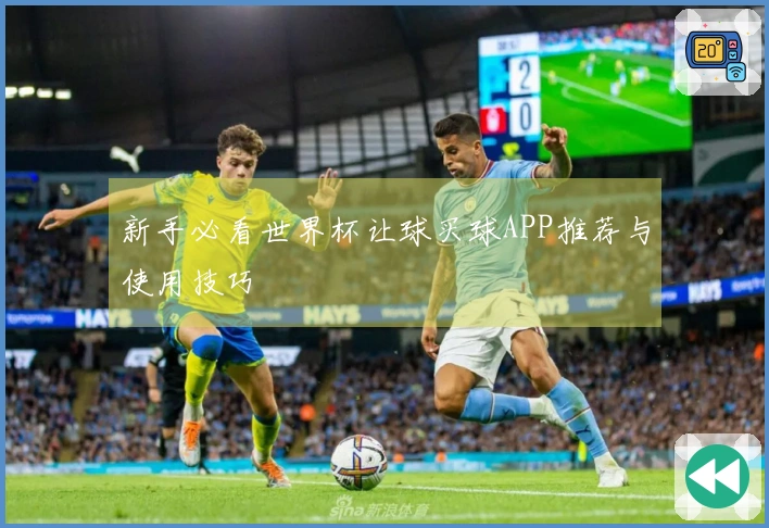 新手必看世界杯让球买球APP推荐与使用技巧